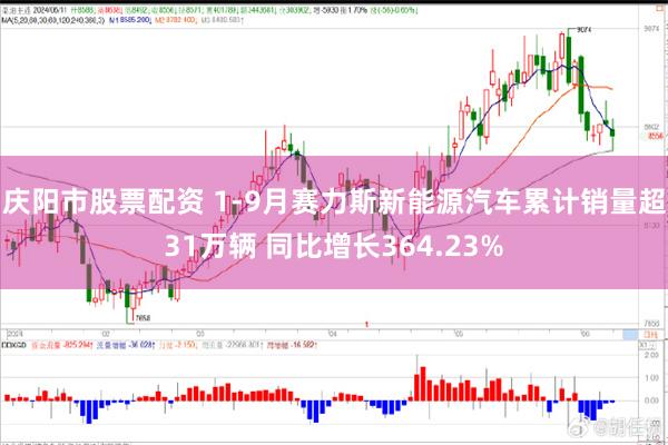 庆阳市股票配资 1-9月赛力斯新能源汽车累计销量超31万辆 同比增长364.23%