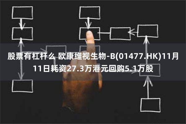 股票有杠杆么 欧康维视生物-B(01477.HK)11月11日耗资27.3万港元回购5.1万股