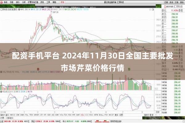 配资手机平台 2024年11月30日全国主要批发市场芹菜价格行情