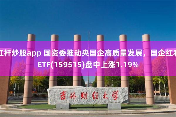 杠杆炒股app 国资委推动央国企高质量发展，国企红利ETF(159515)盘中上涨1.19%