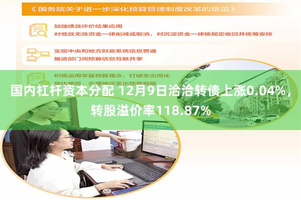 国内杠杆资本分配 12月9日洽洽转债上涨0.04%，转股溢价率118.87%