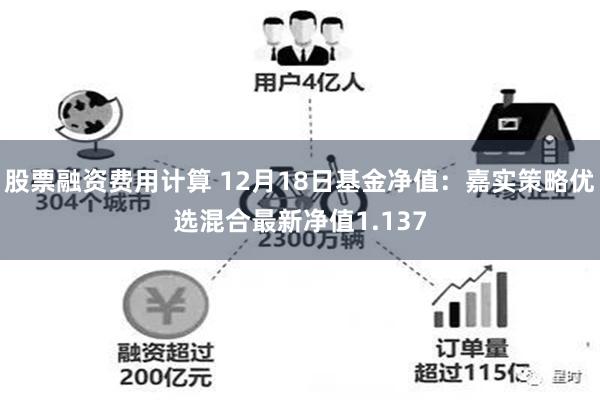 股票融资费用计算 12月18日基金净值：嘉实策略优选混合最新净值1.137